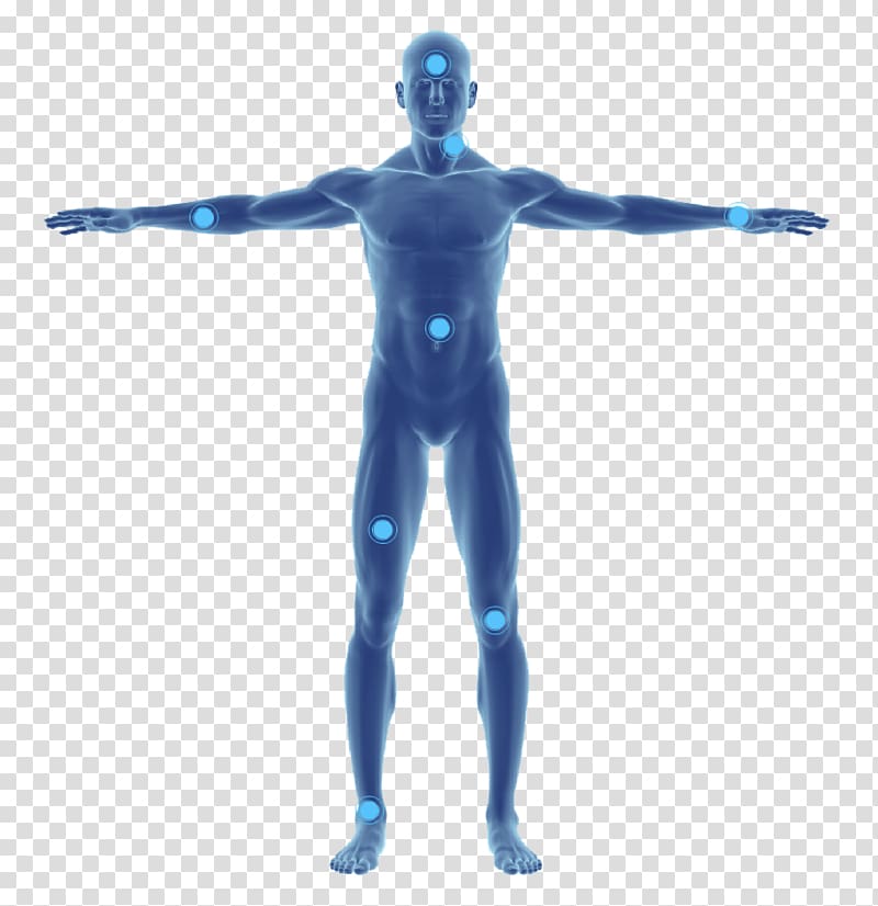 Perspiration Eccrine sweat gland Human body Groin, human body transparent background PNG clipart