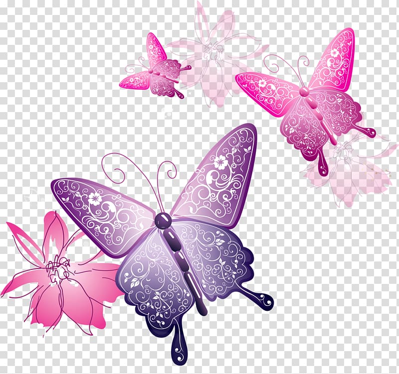 Butterfly , Butterfly transparent background PNG clipart