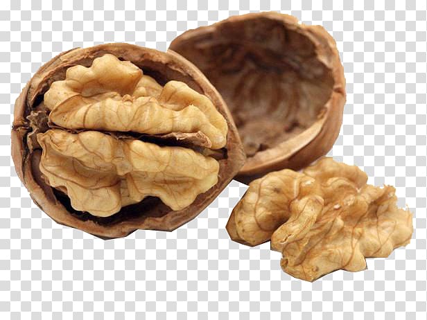 Nutrient Food Nutrition Dietary supplement Walnut, walnut transparent background PNG clipart
