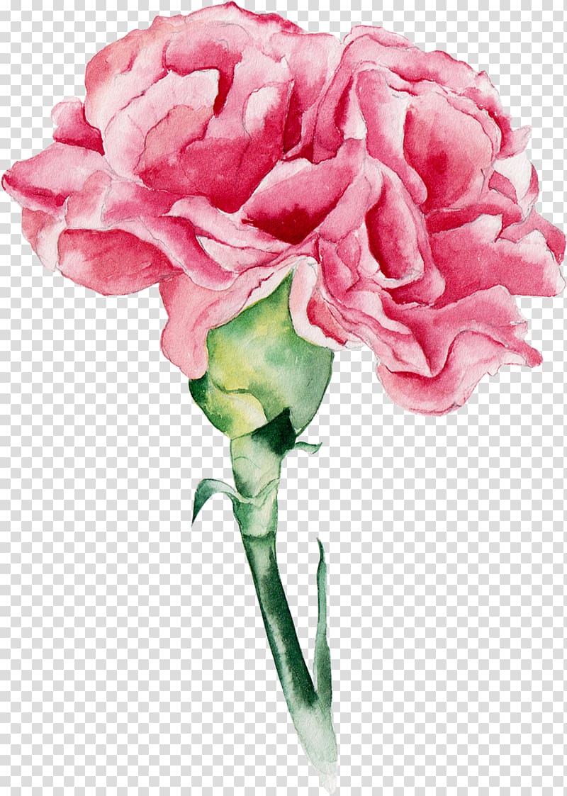 Pink flowers transparent background PNG clipart | HiClipart