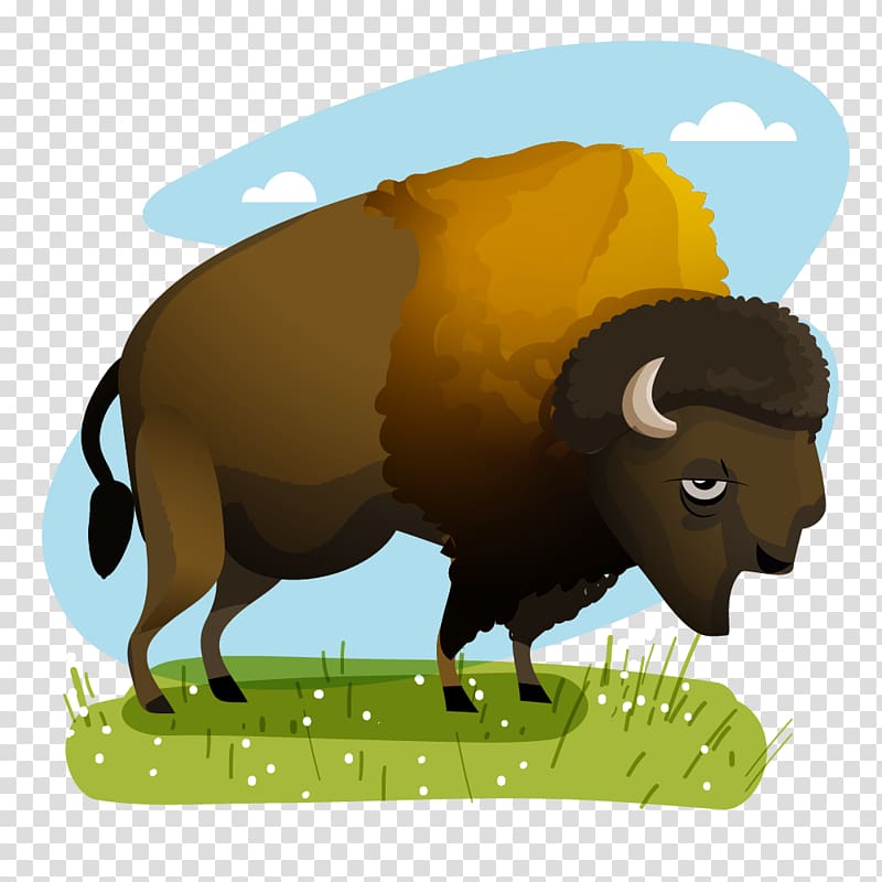 Dairy cattle Sheep Mexico American bison, sheep transparent background PNG clipart