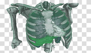 Computer Icons Warhammer 40,000 Organism Directory, biomedicine transparent background PNG clipart thumbnail