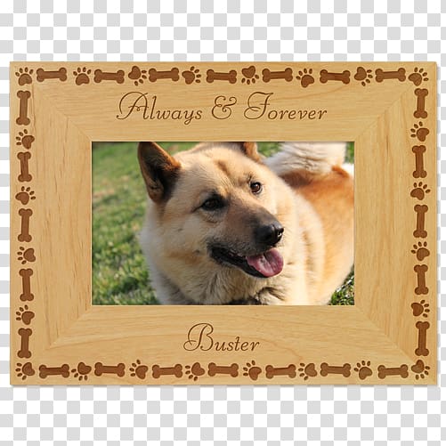 Dog breed Icelandic Sheepdog Puppy love Frames, puppy transparent background PNG clipart