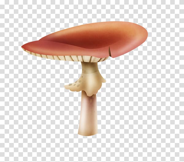 Mushroom Shiitake, mushroom transparent background PNG clipart