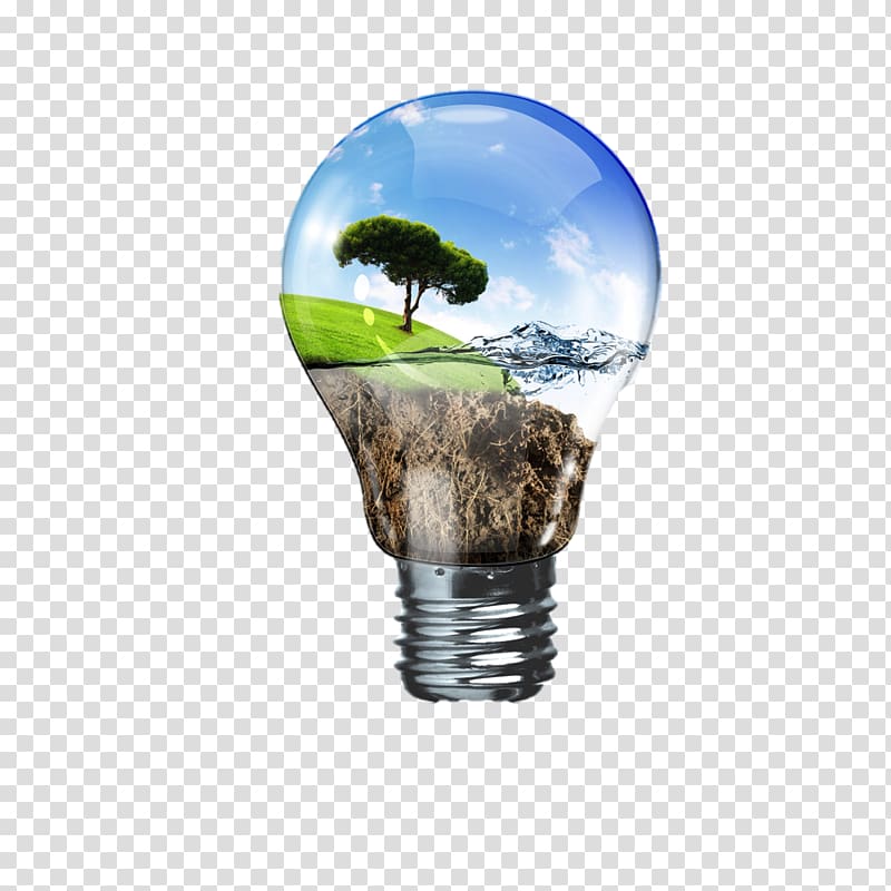 Renewable energy Non-renewable resource Energy conservation, bulb transparent background PNG clipart
