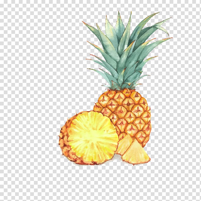 Fruit Watercolor painting Drawing Illustration, A pineapple transparent background PNG clipart