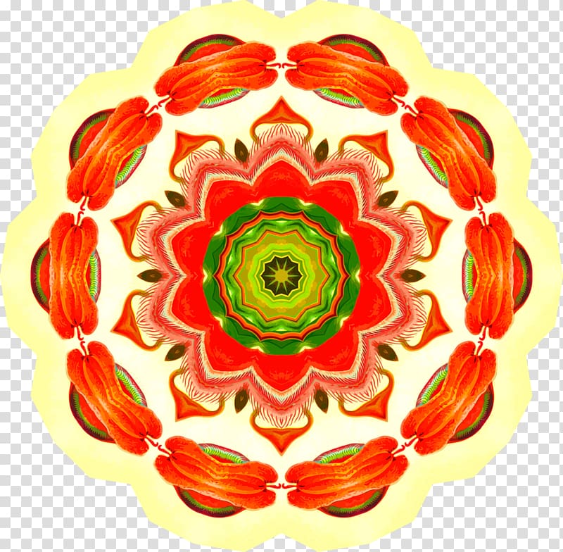 Drawing Rotational symmetry Floral design Flower, flower transparent background PNG clipart