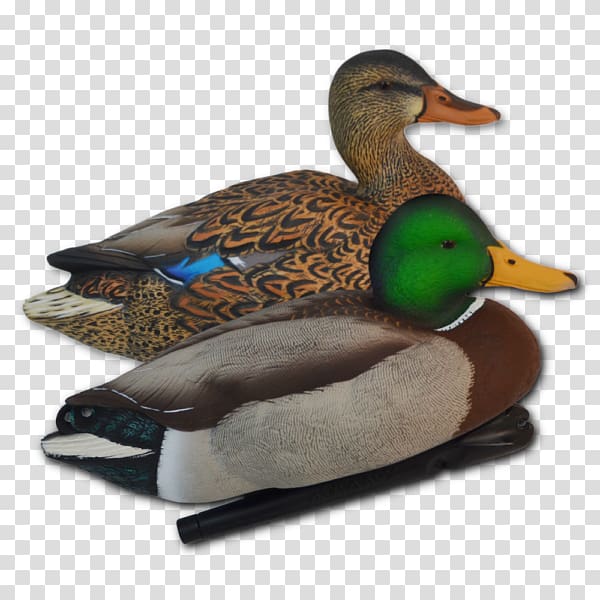 Mallard Duck Decoy Goose Waterfowl hunting, Snow Goose transparent background PNG clipart