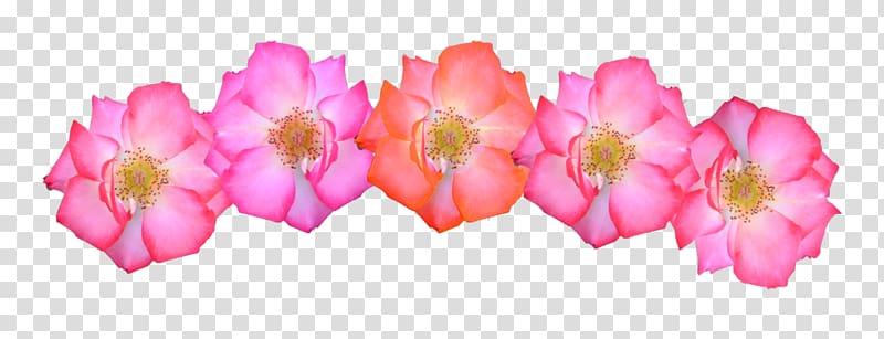 five pink-and-orange flowers, T-shirt Flower Headband Crown Clothing, Pink Flowers Crown transparent background PNG clipart