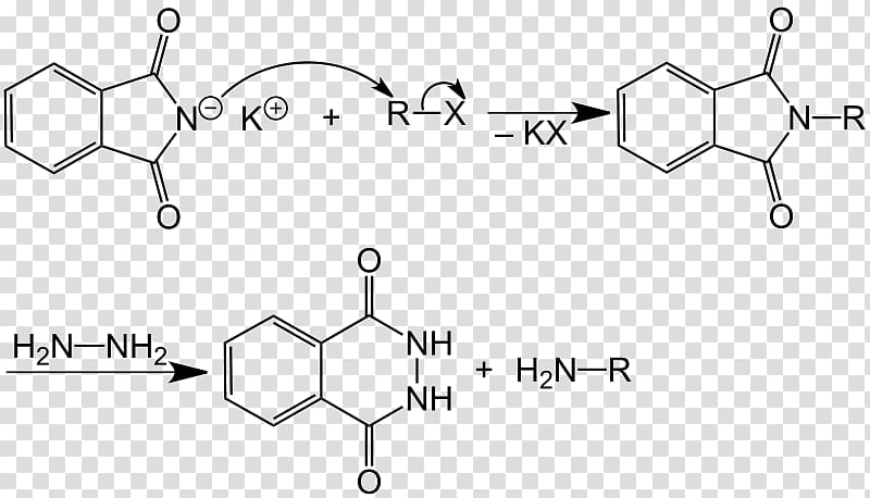 Potassium phthalimide Gabriel synthesis Warfarin Name reaction, Crotonic Acid transparent background PNG clipart