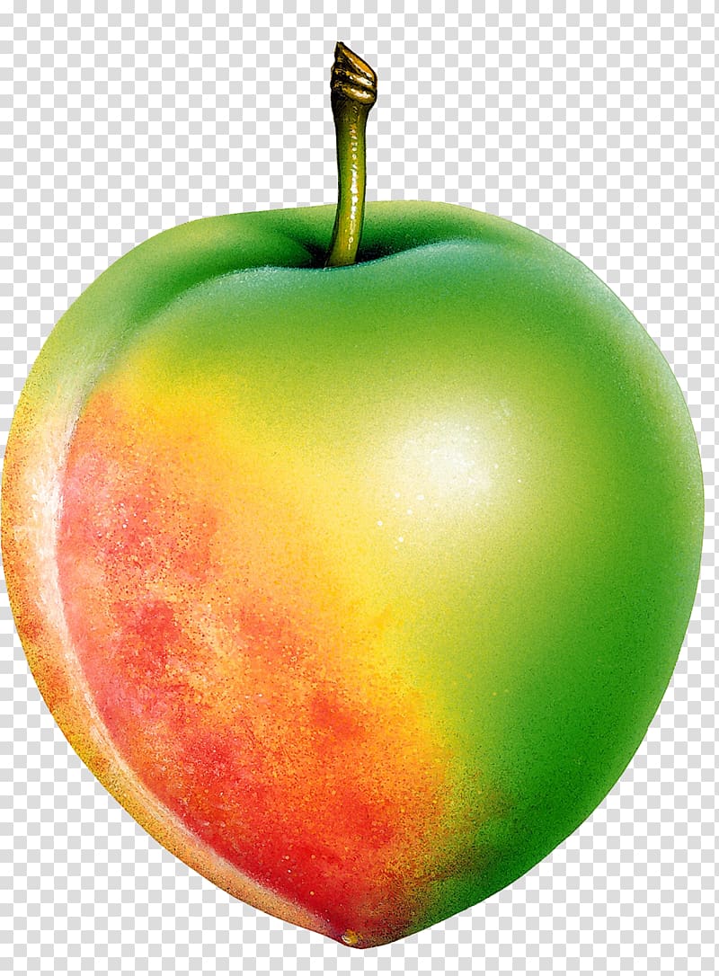 Fruit Apple McIntosh red Berry , apple transparent background PNG clipart