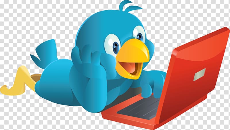 Bird Social media Twitter User Social networking service, Bird transparent background PNG clipart