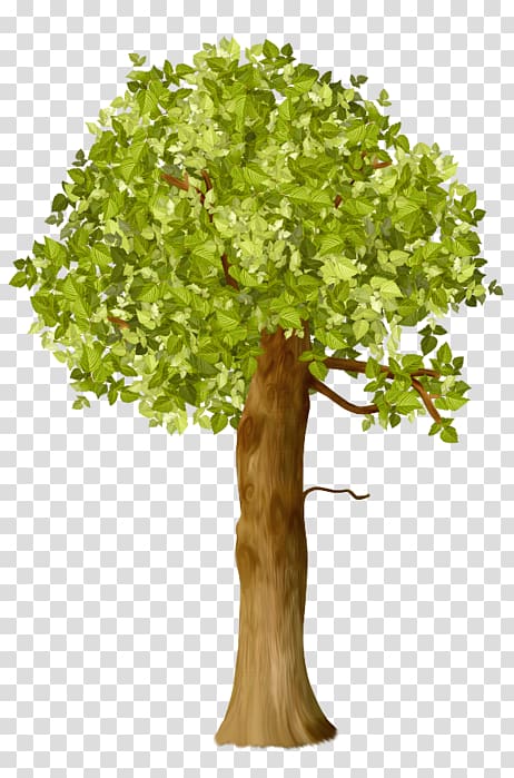 Tree Oak Shrub , tree transparent background PNG clipart