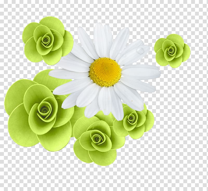 Contagem Flower Rose , camomile transparent background PNG clipart