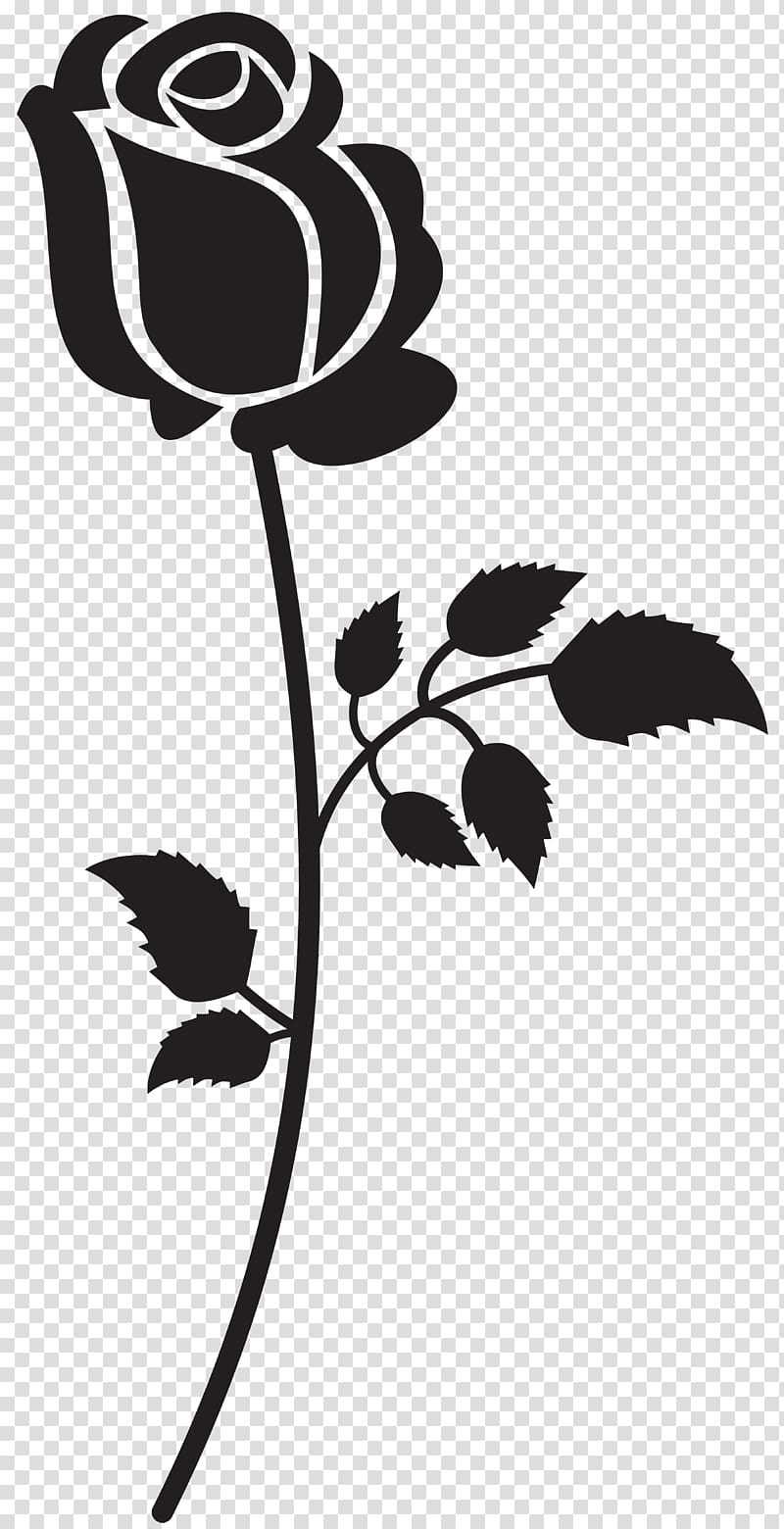 black rose flower illustration, Silhouette Song , Rose Silhouette transparent background PNG clipart