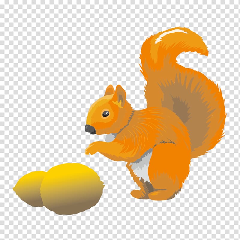 Squirrel, Squirrels and pine cones transparent background PNG clipart