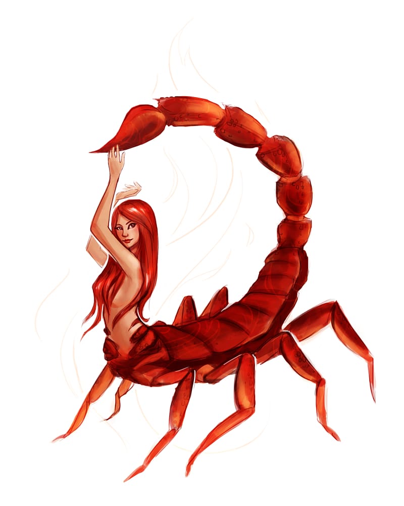 Scorpio Drawing Woman Zodiac Astrological sign, Scorpion transparent background PNG clipart