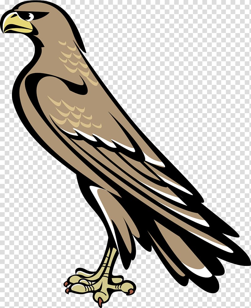 falcon symbols clip art
