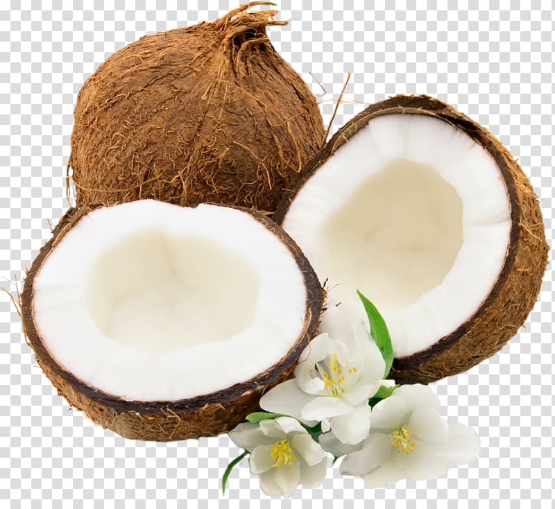 Coconut water Coconut milk , coconut transparent background PNG clipart