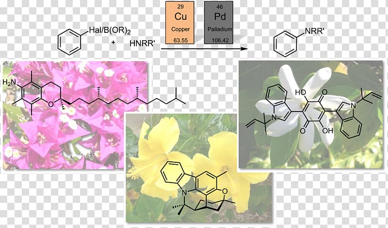 Floral design Aromatic amine Aryl Heterocyclic compound Aromaticity, abstract figure shows transparent background PNG clipart