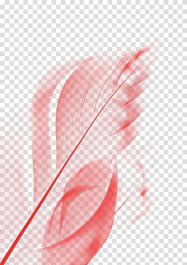 Feather Euclidean Pink Hair, Pink feather transparent background PNG clipart