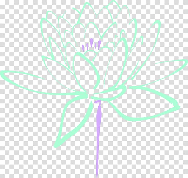 Egyptian lotus Flower Nelumbo nucifera , mint flowers transparent background PNG clipart