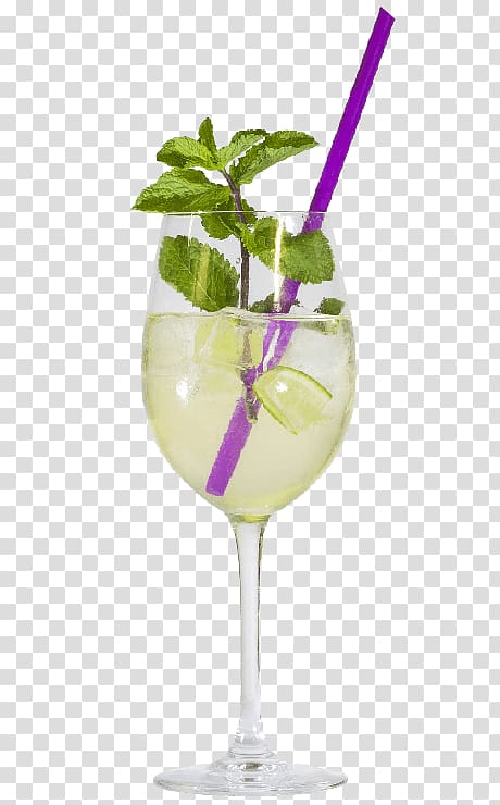 Cocktail garnish Apéritif Spritz Aperol, gin fizz transparent background PNG clipart