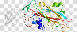 Line Point Organism , line transparent background PNG clipart thumbnail