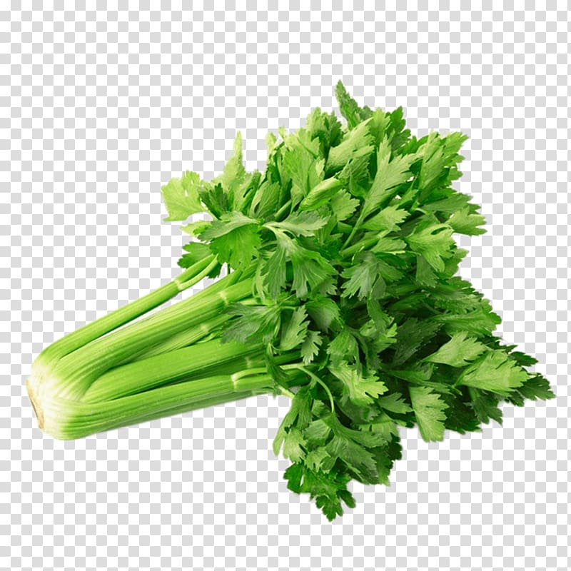 Celery powder Vegetable Juice Organic food, green and fresh transparent background PNG clipart