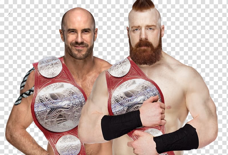 wwe sheamus world heavyweight champion wallpaper