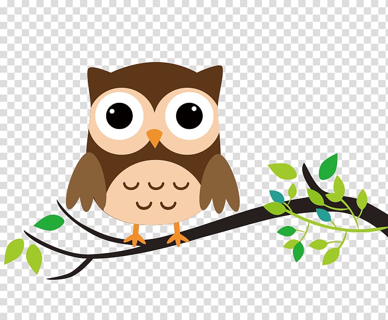 Owl Drawing Cartoon , owl transparent background PNG clipart