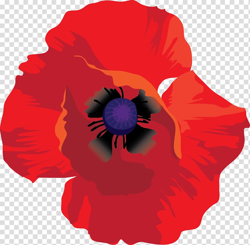 Pansy Petal, red poppies transparent background PNG clipart