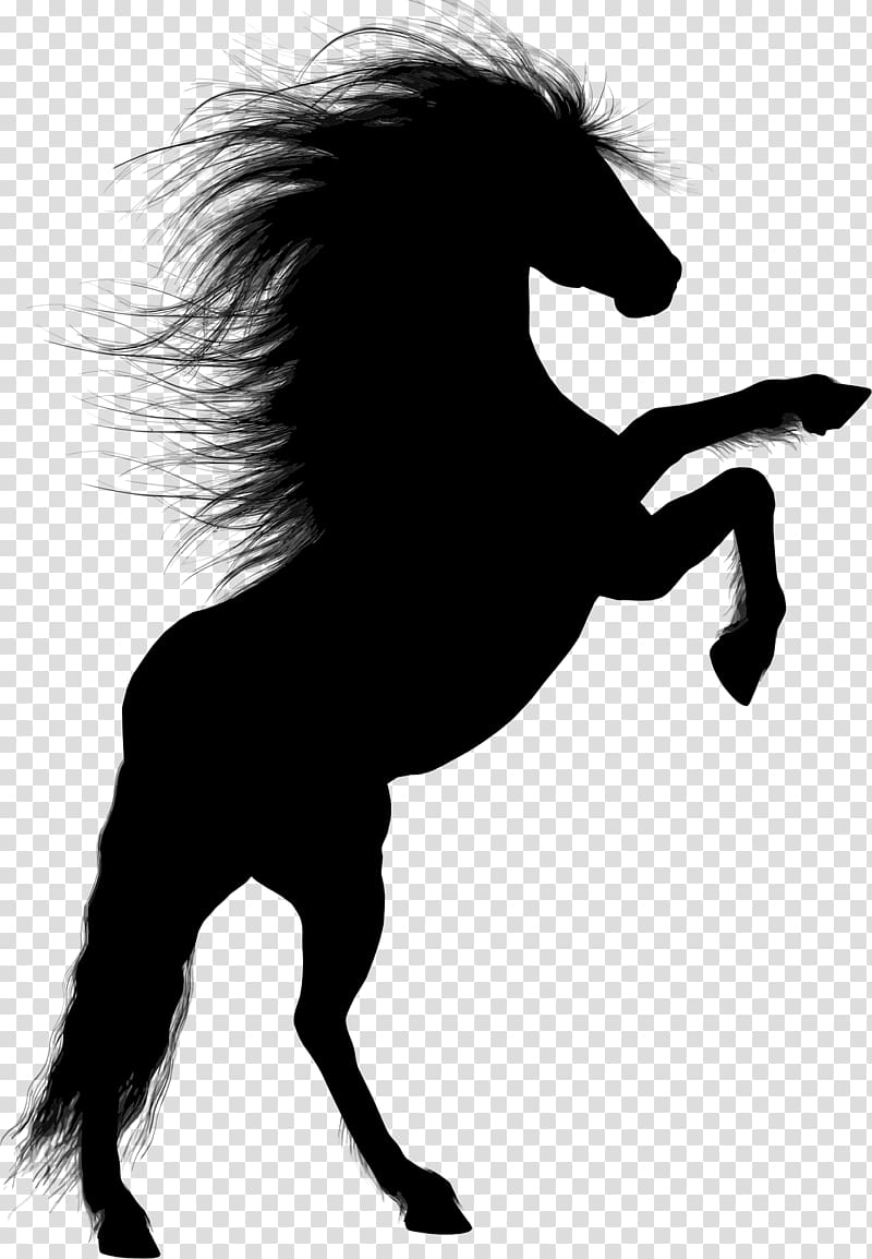 Horse Stallion Rearing Silhouette, horse transparent background PNG clipart