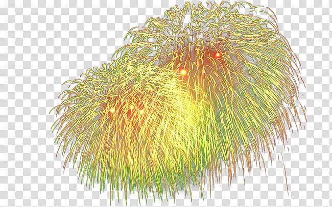 fireworks,explosion,colorful transparent background PNG clipart
