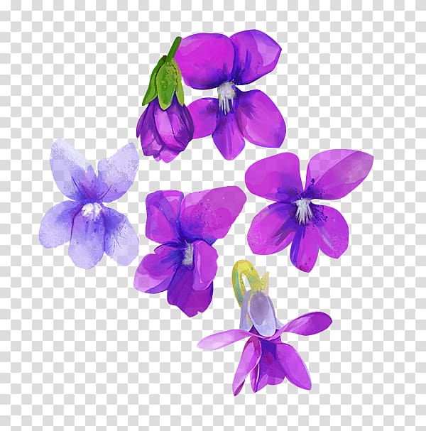 Watercolour Flowers Purple Violet Watercolor painting, watercolor flower purple transparent background PNG clipart