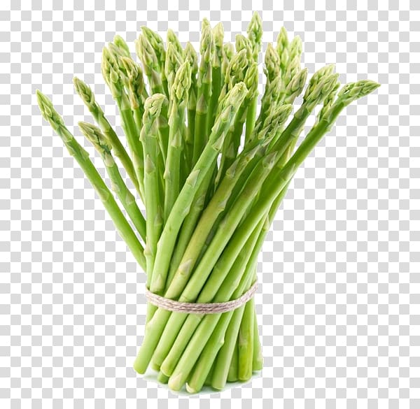 Asparagus Mary Washington Vegetarian cuisine Vegetable Asparagus Roots, common edible weeds transparent background PNG clipart