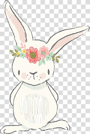 rabbit transparent background PNG clipart thumbnail