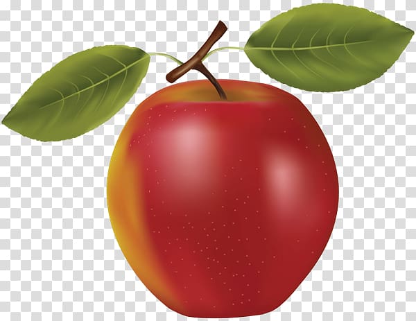 Barbados Cherry Apple Apricot Fruit, apple transparent background PNG clipart