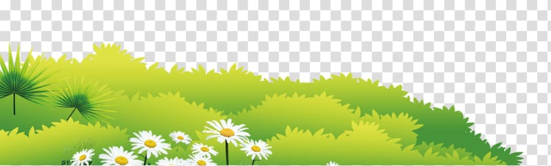 Lawn Meadow Google s, Grass background Chrysanthemum transparent background PNG clipart