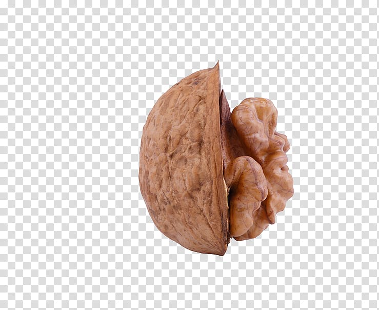 Walnut Wisgoon, walnut transparent background PNG clipart