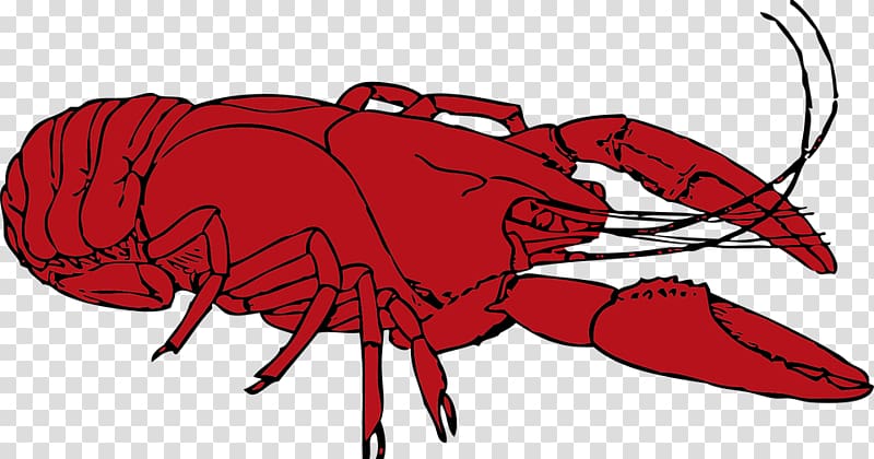 Crayfish Computer Icons , red lobster transparent background PNG clipart
