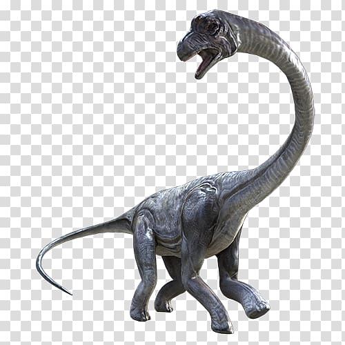 Tyrannosaurus Brachiosaurus Velociraptor Triceratops Jurassic Park,  Brachiosaurus, fauna, terrestrial Animal, jurassic png