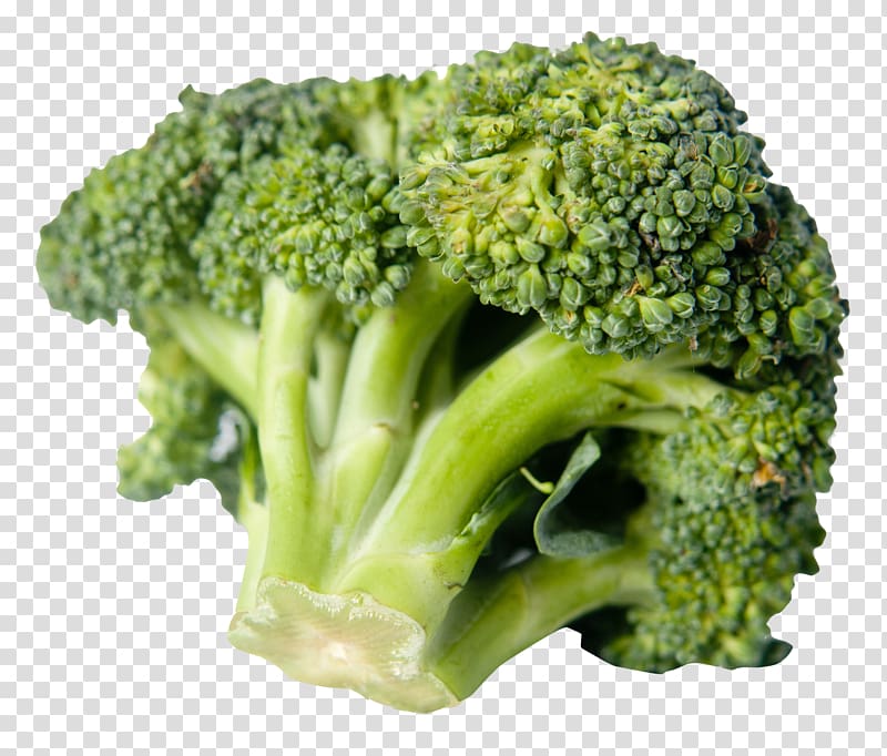Broccoli Vegetarian cuisine Vegetable Food Pasta, Broccoli transparent background PNG clipart