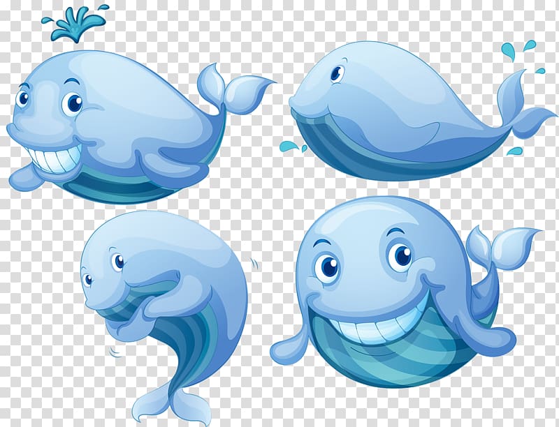 Blue whale Right whales Euclidean , Cartoon whale transparent background PNG clipart