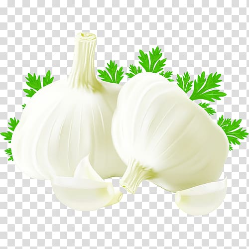 Garlic bread Clove , Cartoon garlic transparent background PNG clipart