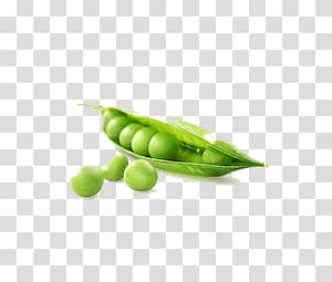 Pea transparent background PNG clipart