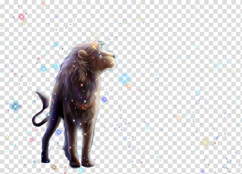 lion and sparkling lights illustration, Lion Dog breed Icon, lion transparent background PNG clipart