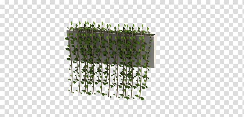 Plant Vine Computer-aided design .dwg, garden wall transparent background PNG clipart