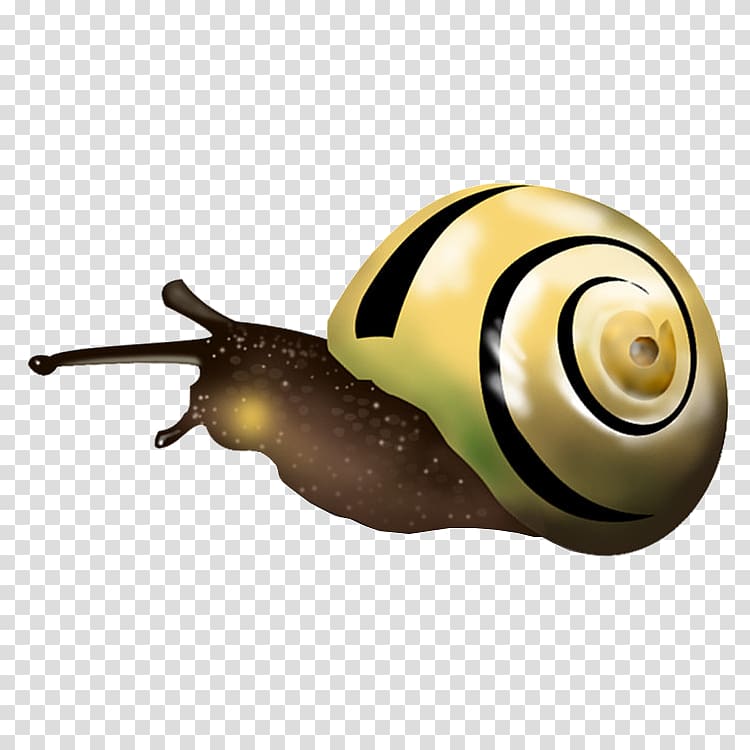 Snail Orthogastropoda, Cartoon snail transparent background PNG clipart