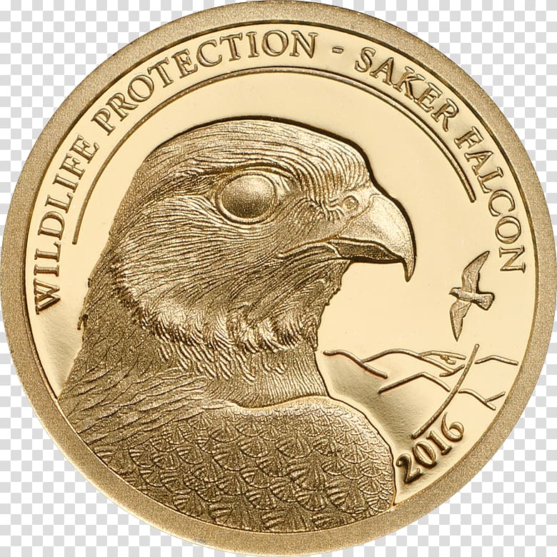 Mongolian tögrög CIT Coin Invest AG Gold, saker falcon transparent background PNG clipart